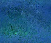 Textures 069